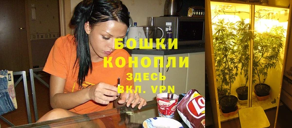 spice Аркадак