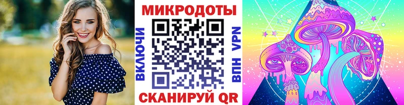 Галлюциногенные грибы Cubensis  Ипатово 